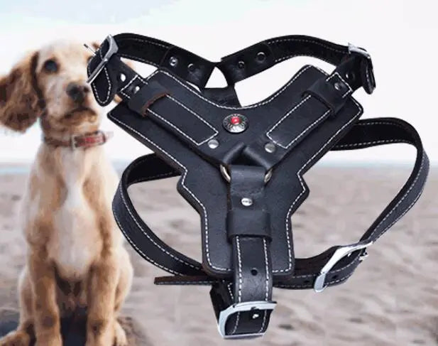 Genuine Leather Dog Harness My Store