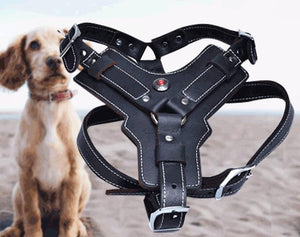 Genuine Leather Dog Harness