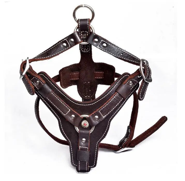 Genuine Leather Dog Harness My Store