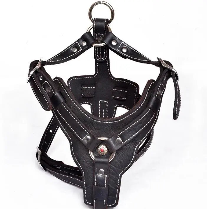 Genuine Leather Dog Harness My Store