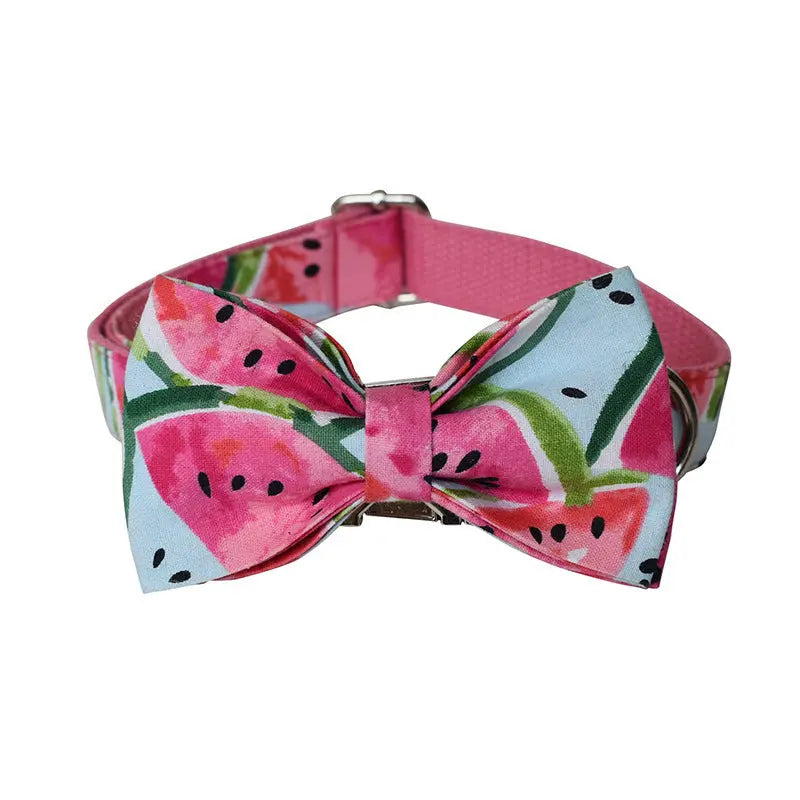 Watermelon Pet Supplies Dog Collar Pet Leash Paws and Claws Boutique