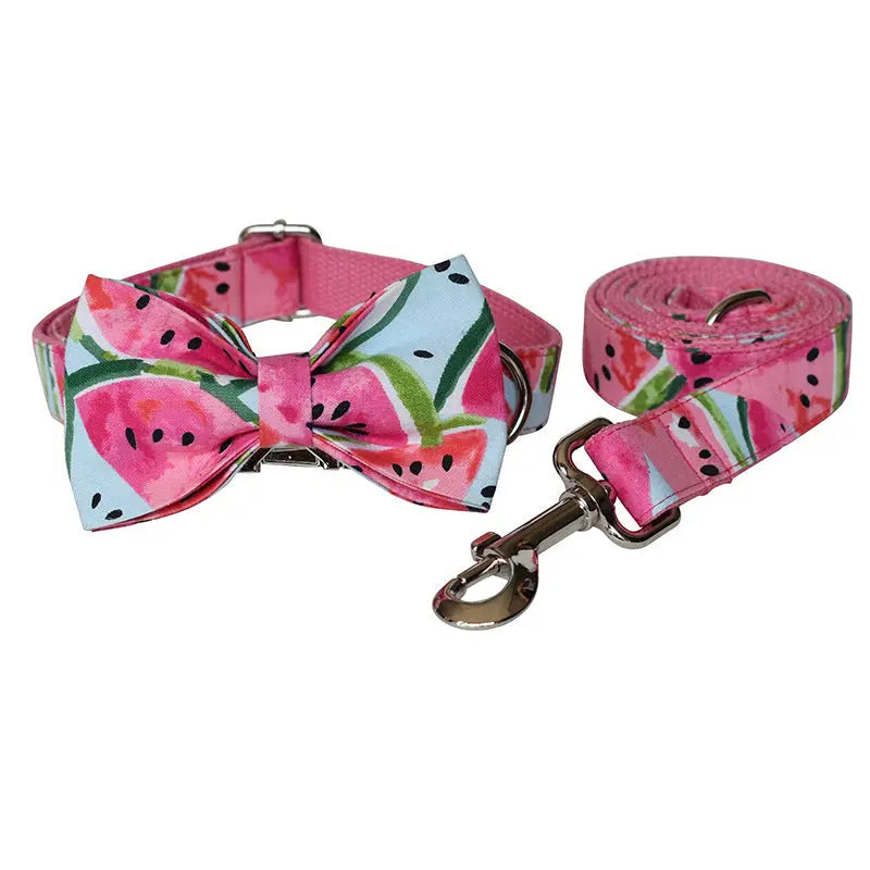 Watermelon Pet Supplies Dog Collar Pet Leash Paws and Claws Boutique