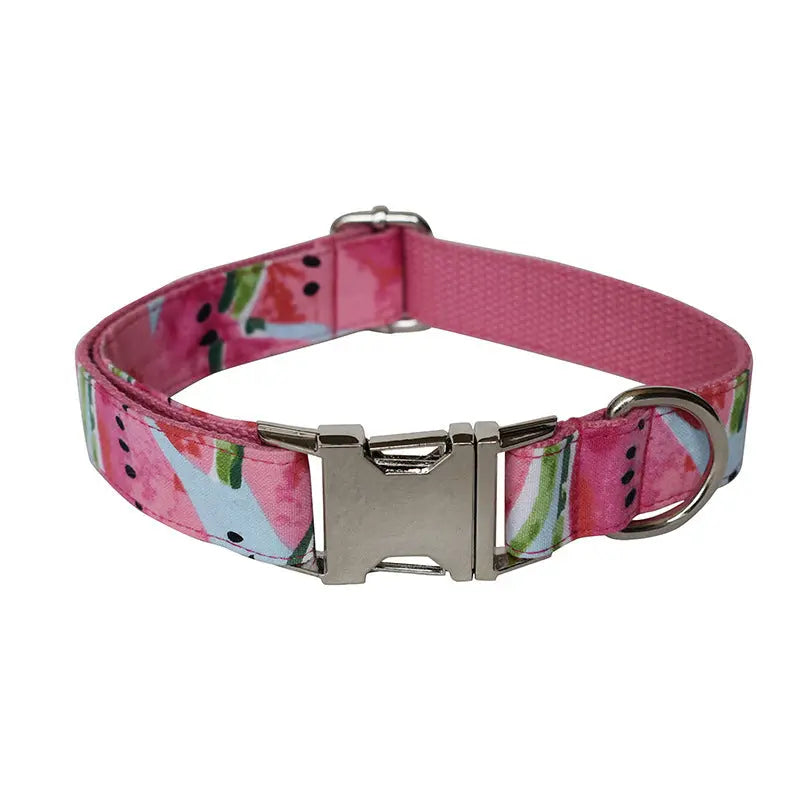 Watermelon Pet Supplies Dog Collar Pet Leash Paws and Claws Boutique