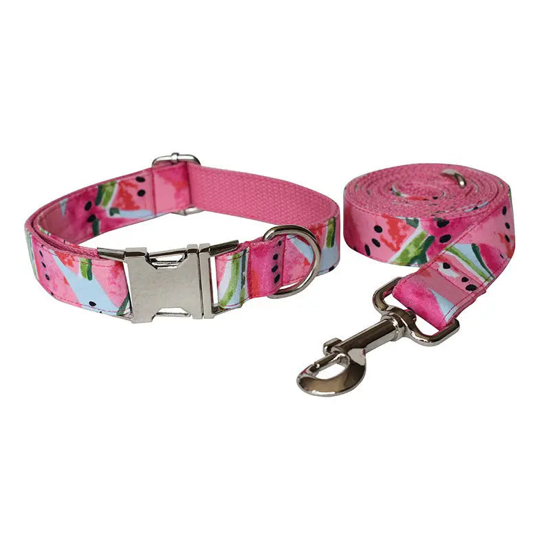 Watermelon Pet Supplies Dog Collar Pet Leash Paws and Claws Boutique