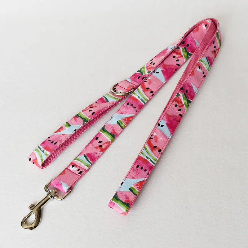 Watermelon Pet Supplies Dog Collar Pet Leash Paws and Claws Boutique
