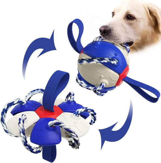 Interactive Dog Football Soccer Ball With Tabs Inflated Training My Store