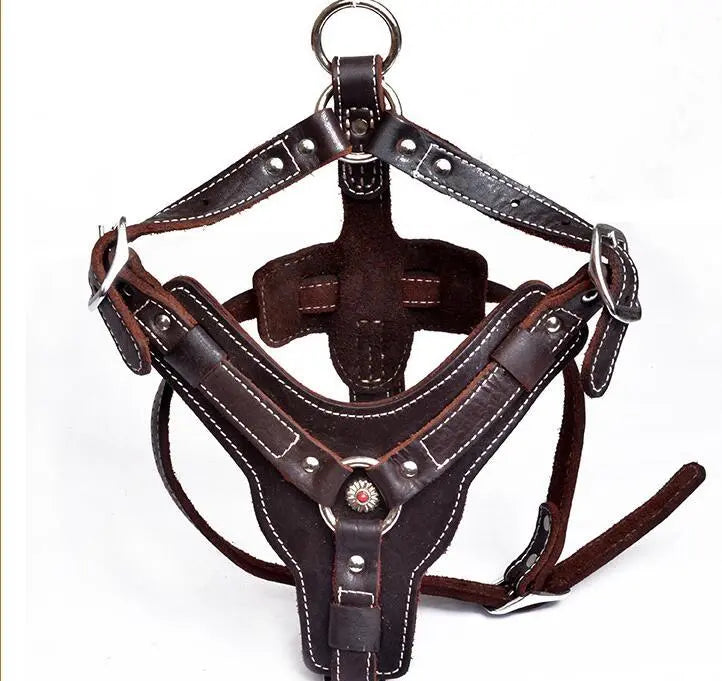 Genuine Leather Dog Harness My Store