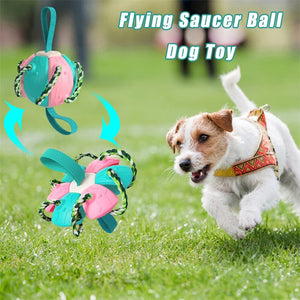 Interactive Dog Football Soccer Ball With Tabs Inflated Training