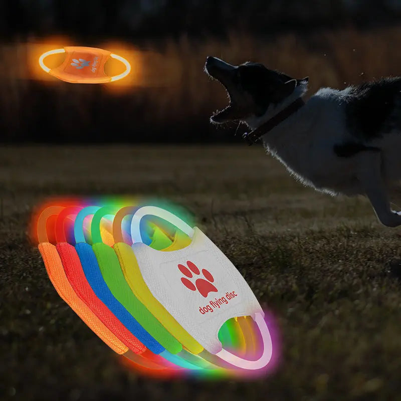 Dog Flying Discs Light Glowing LED Luminous Trainning Interactive Toys Game Paws and Claws Boutique