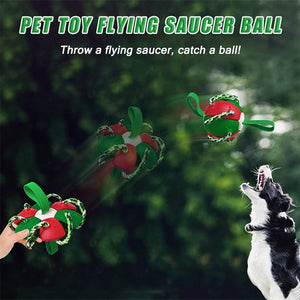 Interactive Dog Football Soccer Ball With Tabs Inflated Training