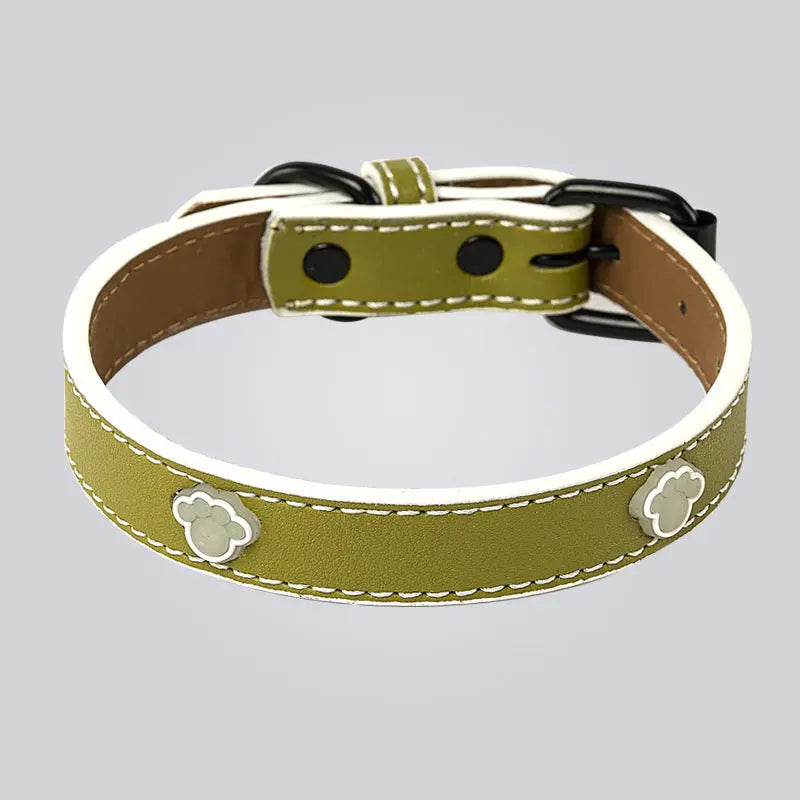Adjustable Luminous Pet Collar Luminous Pet Collar Paws and Claws Boutique