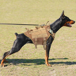 Malinois Large Dog Dog Hand Holding Rope Chest Vest Combat