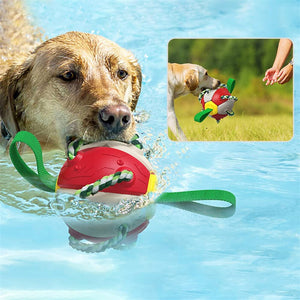 Interactive Dog Football Soccer Ball With Tabs Inflated Training