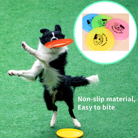 Pet Supplies Dog  Outdoor Interactive Toys My Store