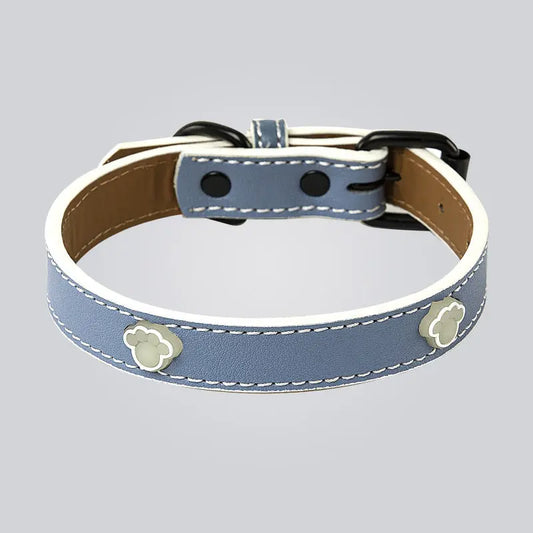 Adjustable Luminous Pet Collar Luminous Pet Collar Paws and Claws Boutique