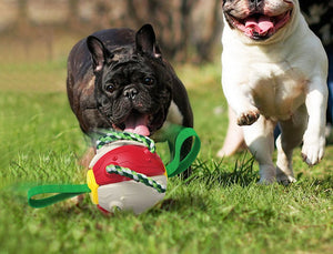 Interactive Dog Football Soccer Ball With Tabs Inflated Training